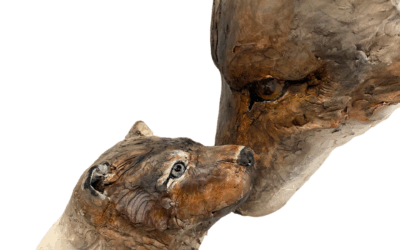 Une Année de Lumières pour Vous