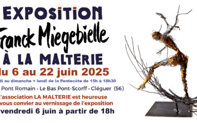 Franck Miegebielle au gré du fil   à la Malterie (56)