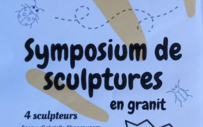 Seenu et Goulven Jaouen en Symposium de Sculptures en granit à PLOEZAL (22)