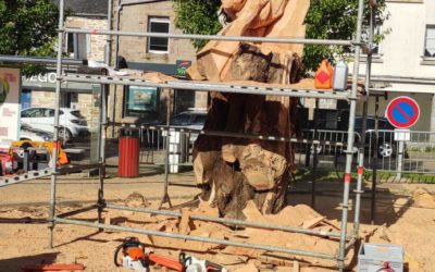 PLOUIGNEAU vibre au son des tronçonneuses……
