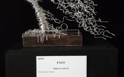 Enzo » figure dans les œuvres décrochées » au Salon des arts de Cholet
